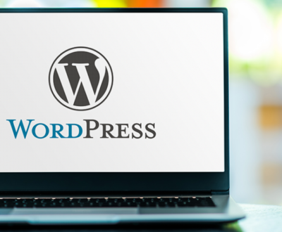 how to disable banner in wordpress theme