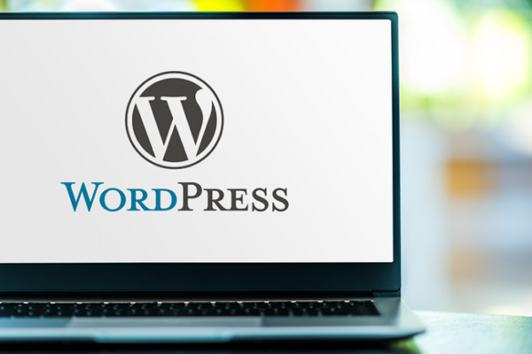 how to disable banner in wordpress theme