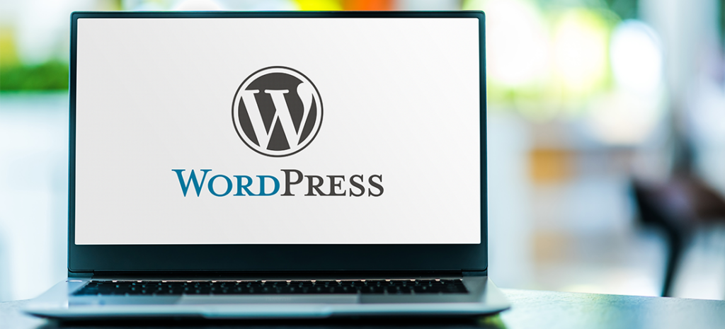 how to disable banner in wordpress theme